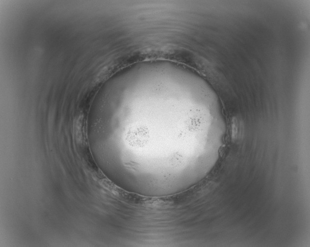 X0000078311059200611172209