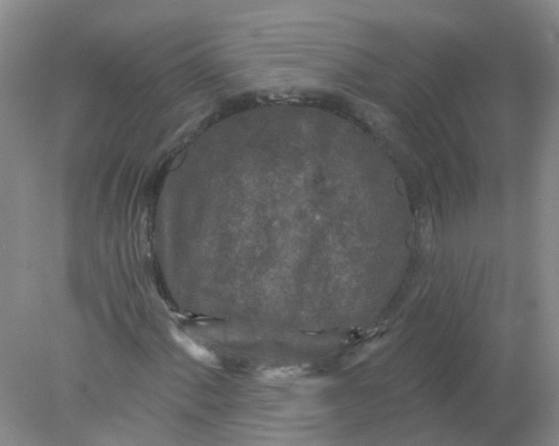 X0000078311060200611172209