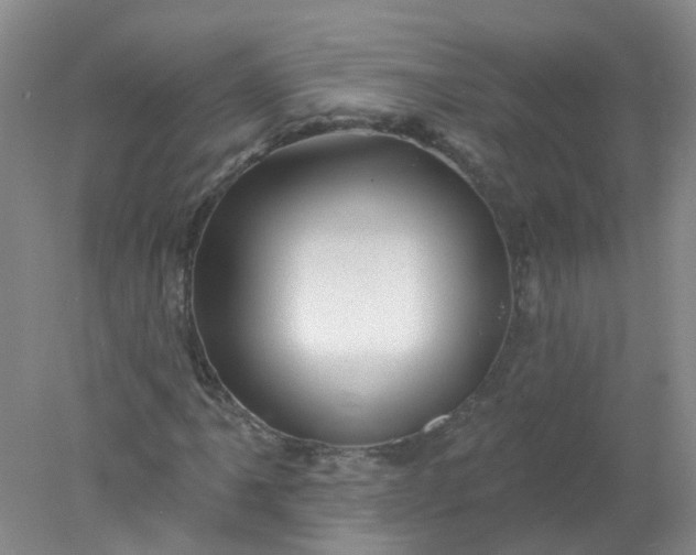 X0000078311061200611172209