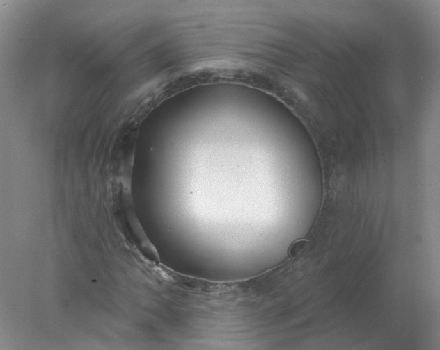 X0000078311062200611172209