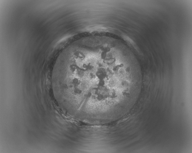 X0000078311063200611172209