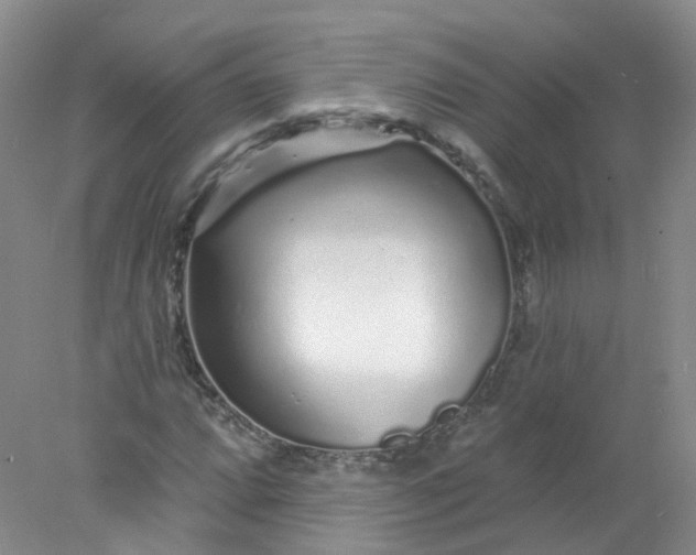 X0000078311064200611172209