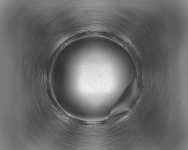 X0000078311065200611172209