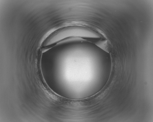 X0000078311066200611172209