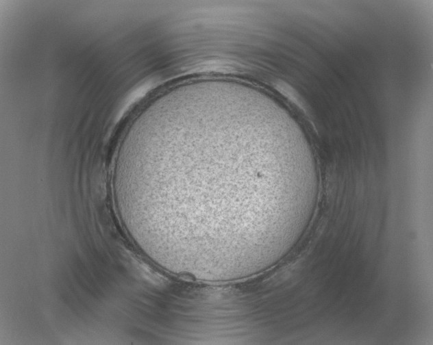 X0000078311067200611172209