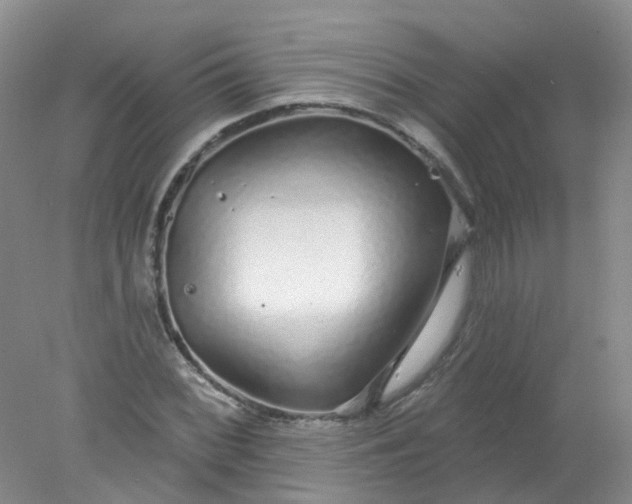 X0000078311068200611172209