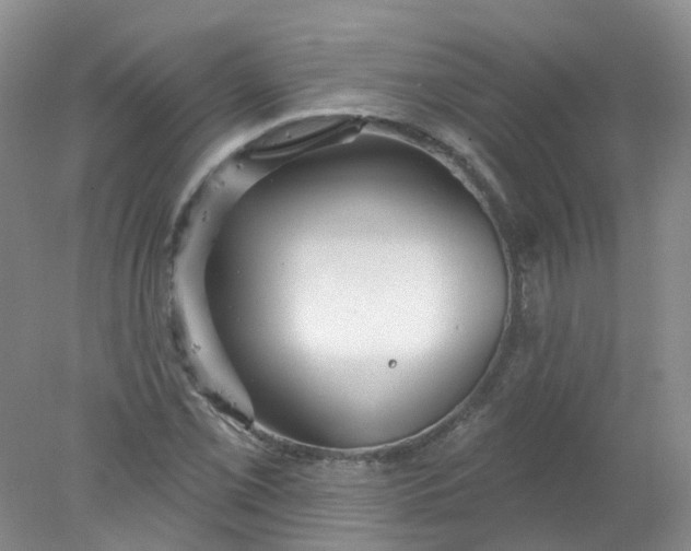 X0000078311069200611172209