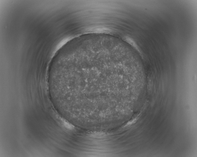 X0000078311071200611172209