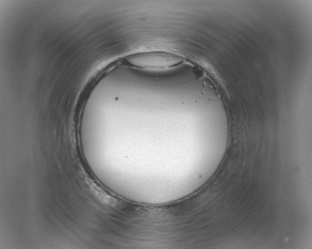 X0000078311072200611172209