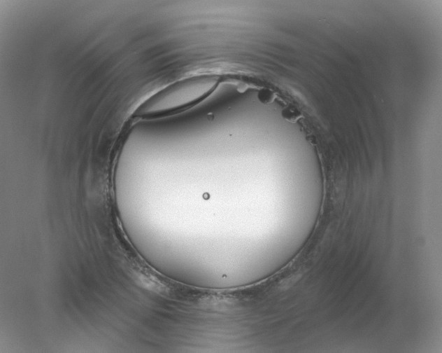 X0000078311073200611172209