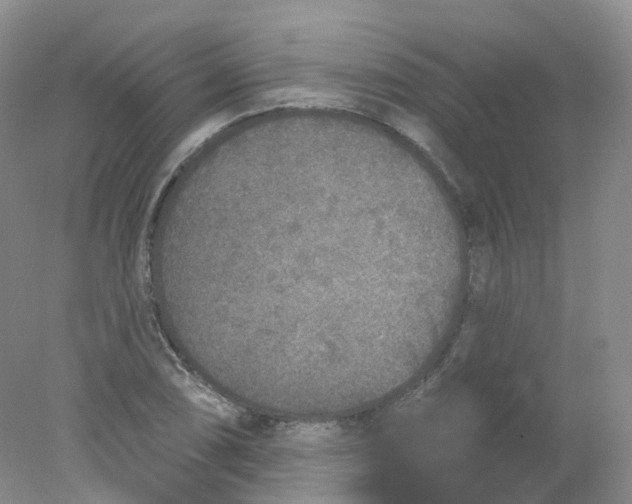 X0000078311074200611172209