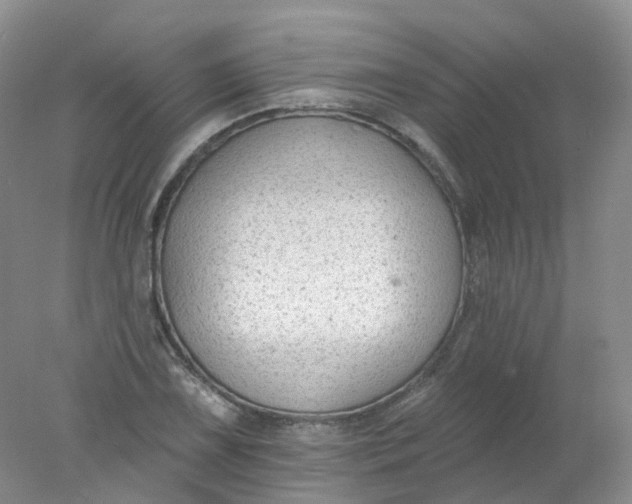 X0000078311075200611172209