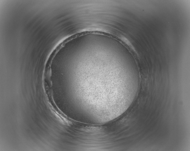 X0000078311076200611172209