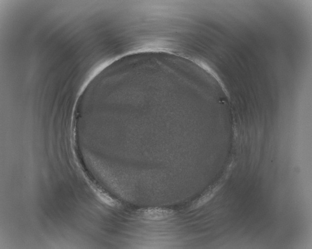 X0000078311077200611172209