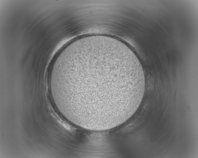 X0000078311078200611172209