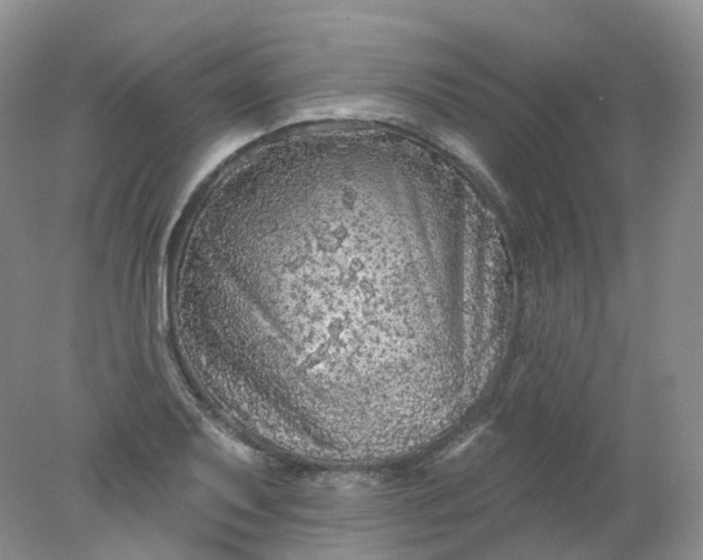 X0000078311079200611172209