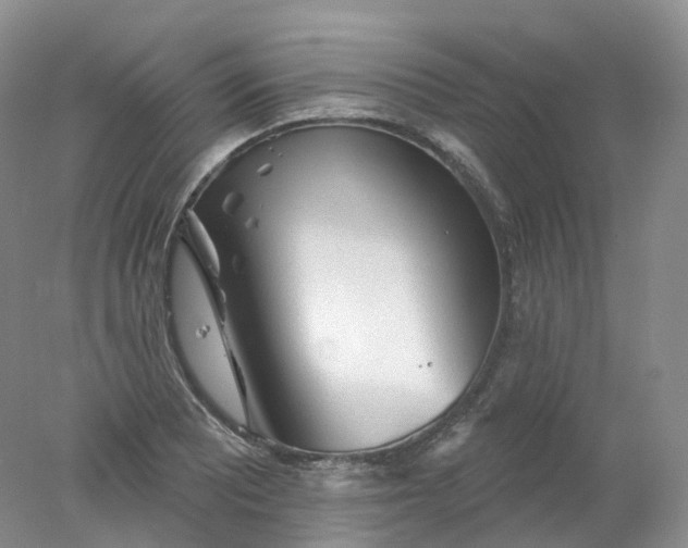 X0000078311081200611172208