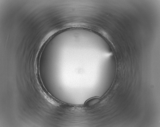 X0000078311082200611172208