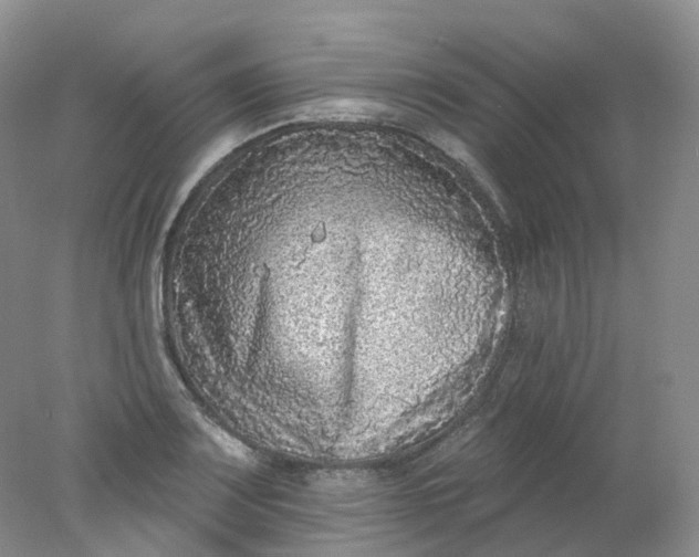 X0000078311083200611172208