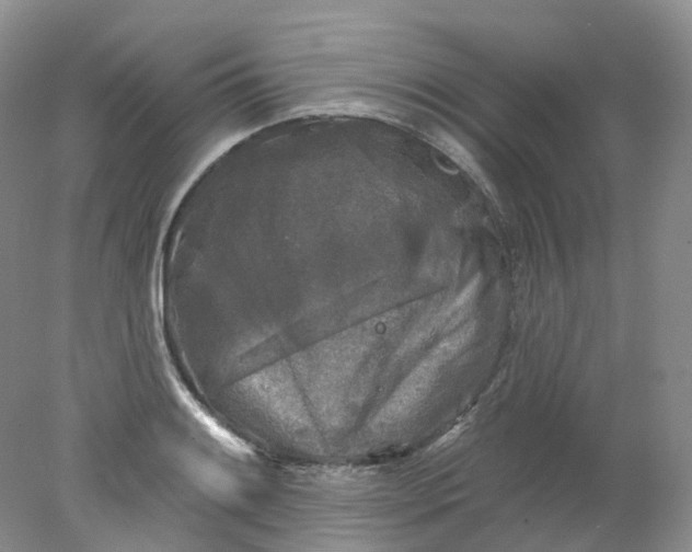 X0000078311084200611172208