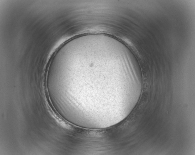 X0000078311086200611172208