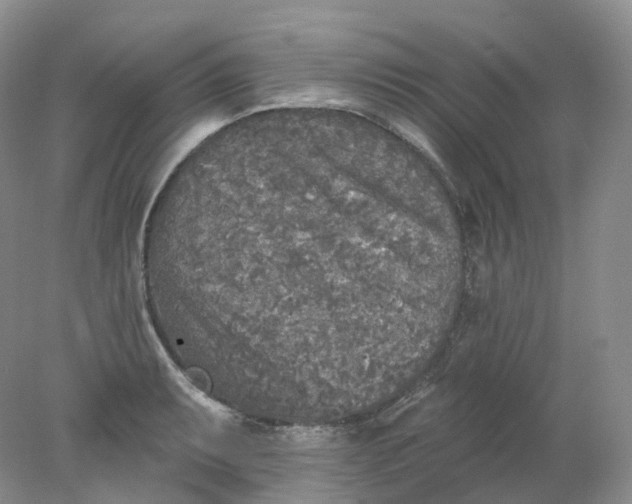 X0000078311087200611172208