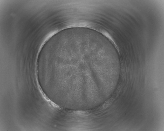 X0000078311088200611172208