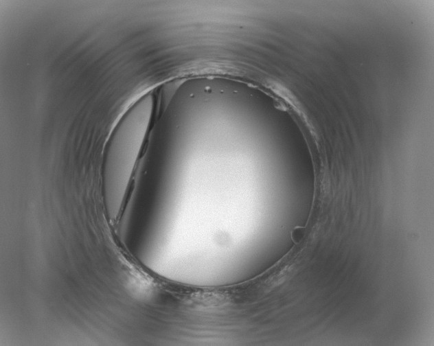 X0000078311089200611172208