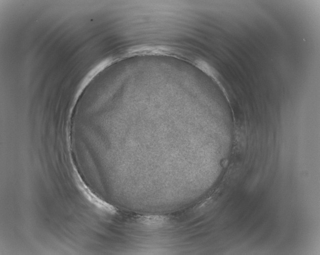 X0000078311090200611172208