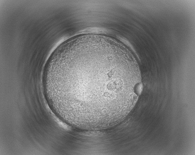 X0000078311091200611172208