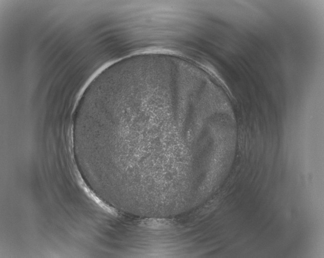 X0000078311092200611172208