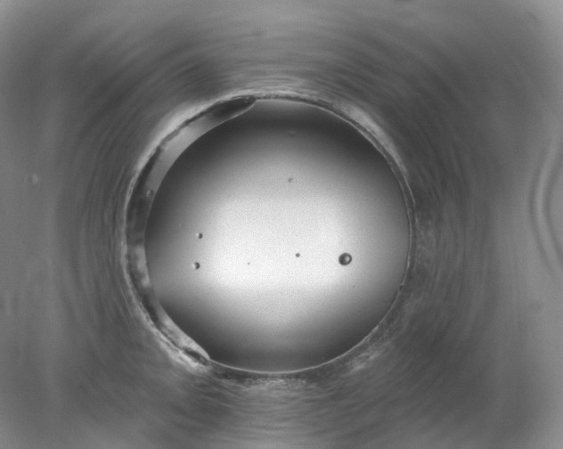 X0000078311093200611172208