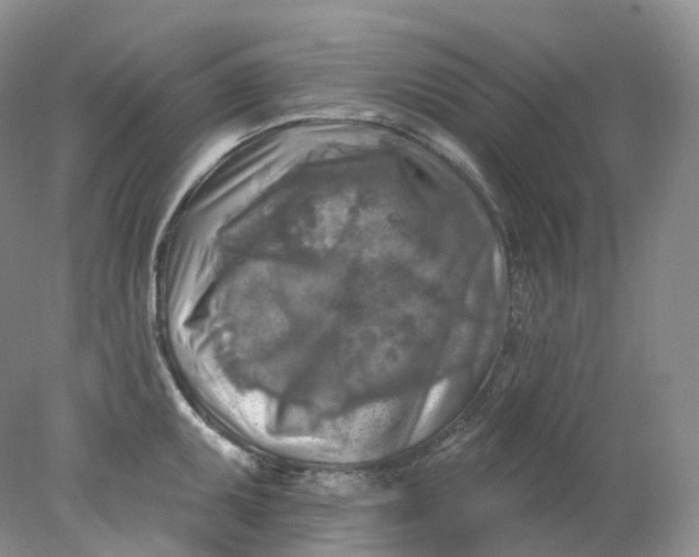 X0000078311095200611172208