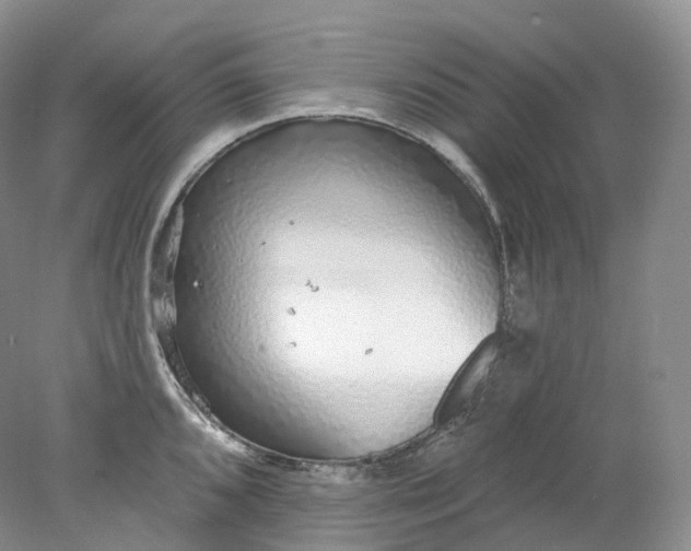 X0000078311096200611172208