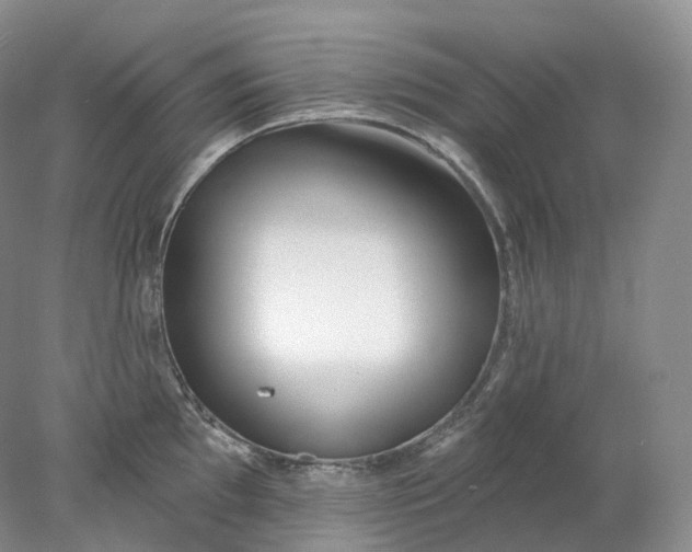 X0000078311097200611172208