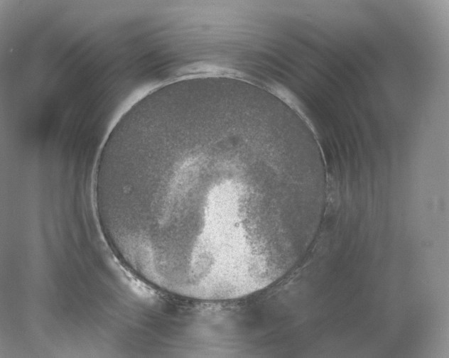 X0000078311098200611172208