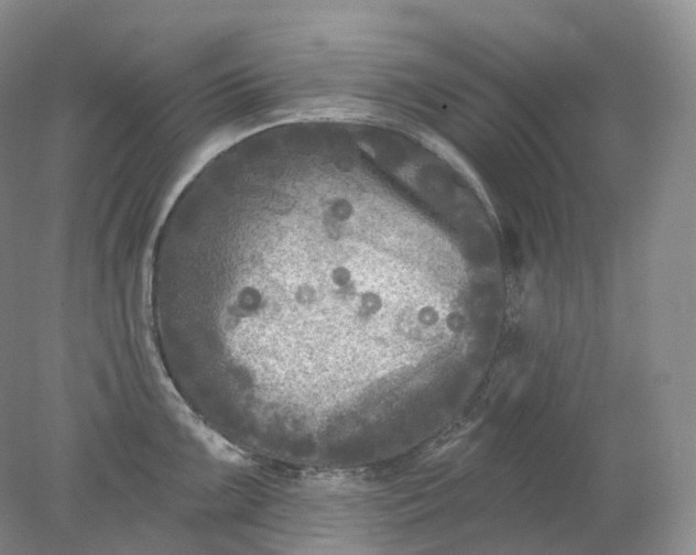 X0000078311099200611172208