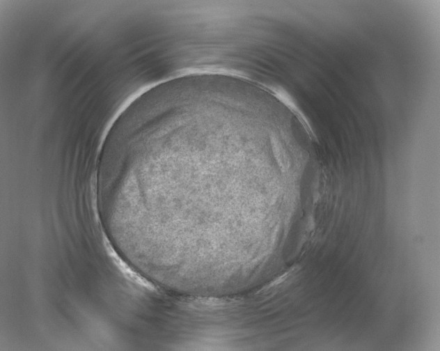 X0000078311100200611172208