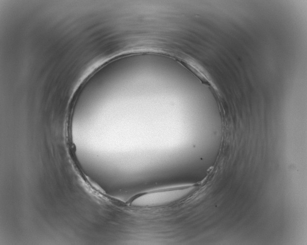 X0000078311101200611172208