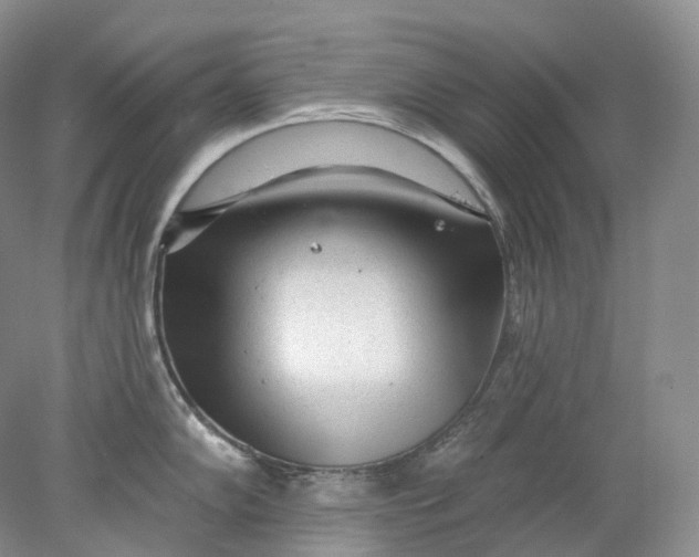 X0000078311102200611172208