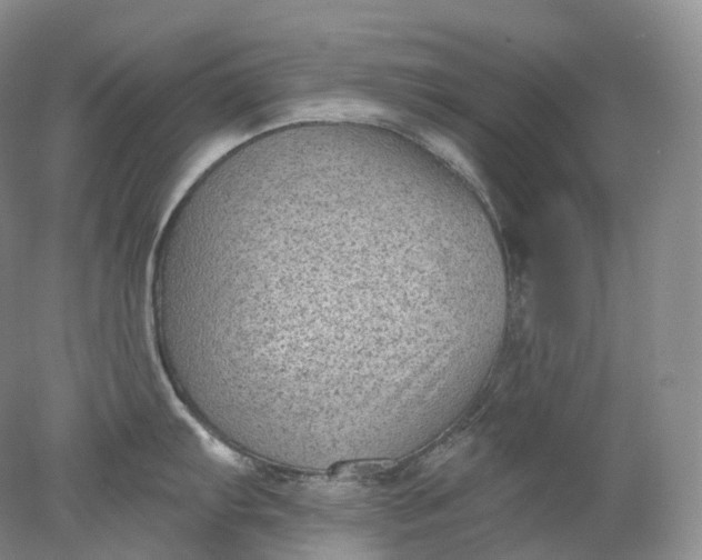 X0000078311103200611172208