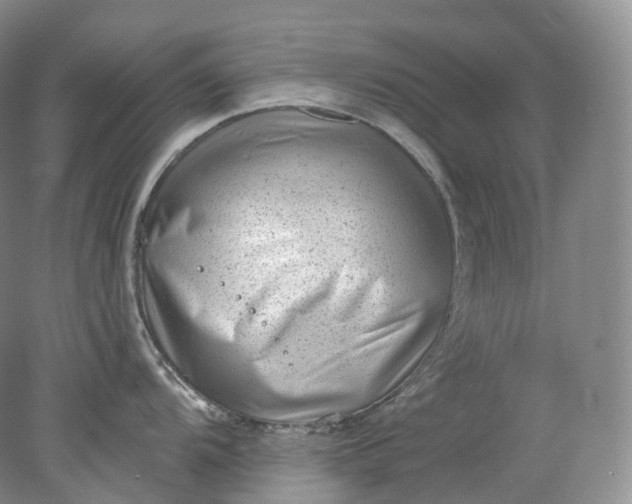 X0000078311104200611172208