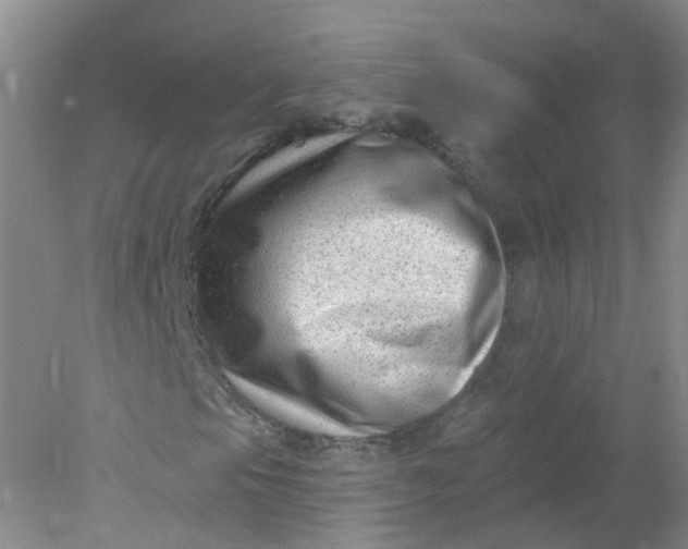 X0000078311105200611172207