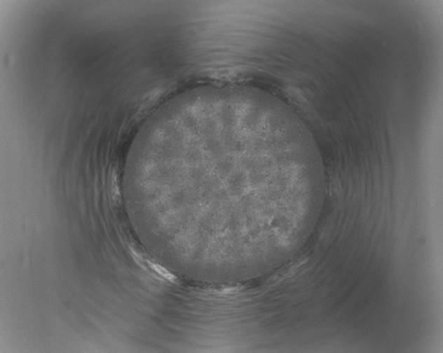 X0000078311106200611172207