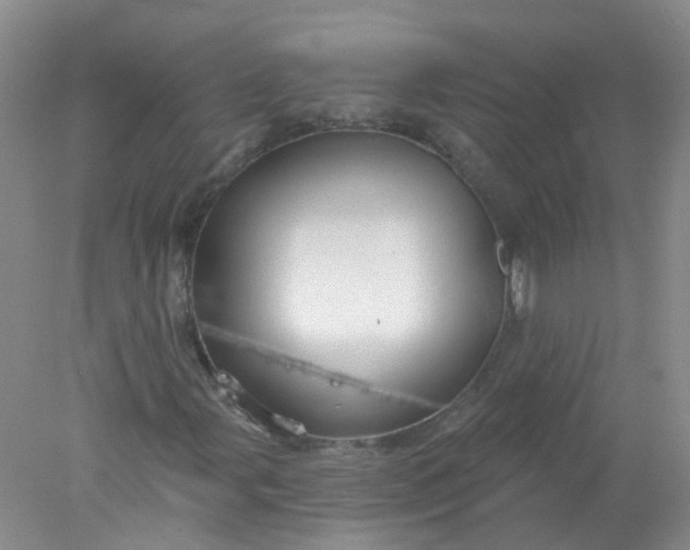 X0000078311107200611172207