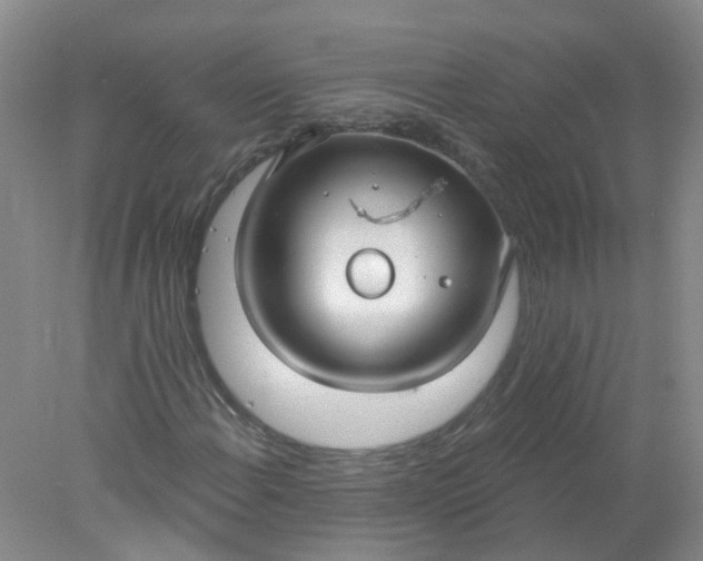 X0000078311108200611172207