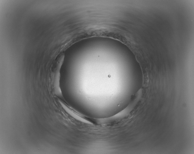 X0000078311109200611172207