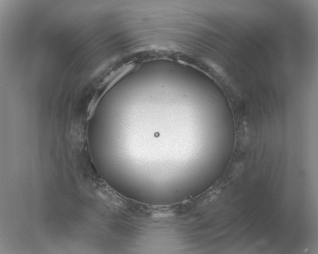 X0000078311110200611172207