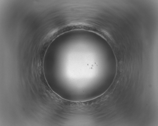 X0000078311111200611172207