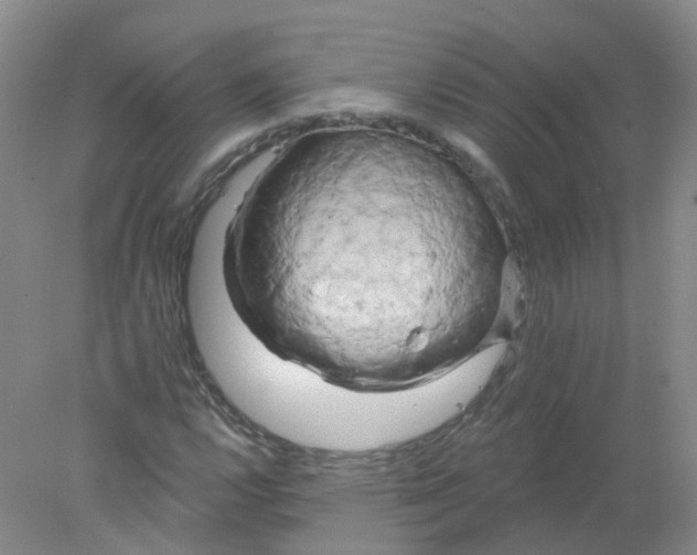 X0000078311112200611172207